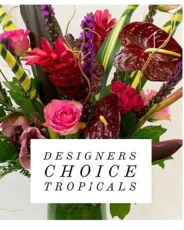 Designer's Choice - Tropical Flower Arrangement