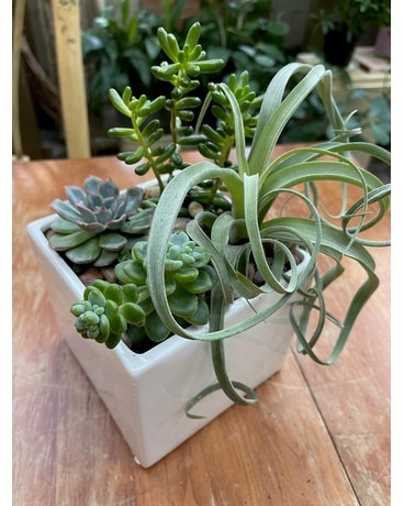 Succulent Garden Flower Arrangement