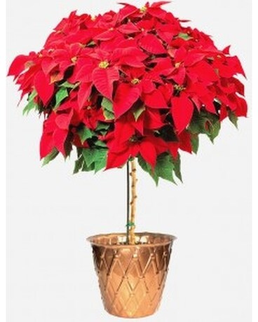 Poinsettia Tree Flower Arrangement