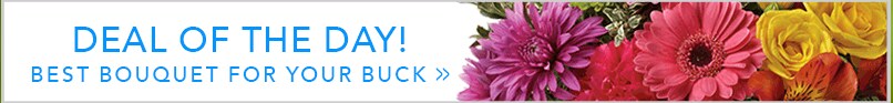 Beautiful Seasonal Flowers Banner