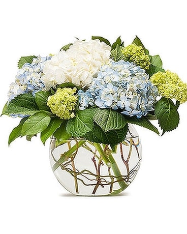Mighty Hydrangea - by TeamFloral Flower Arrangement