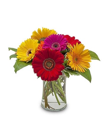 Fruity - by TeamFloral Flower Arrangement