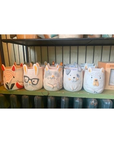Woodland Friends Pots Gifts