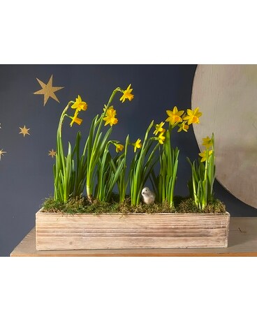 Brighter Days Ahead :) Flower Arrangement