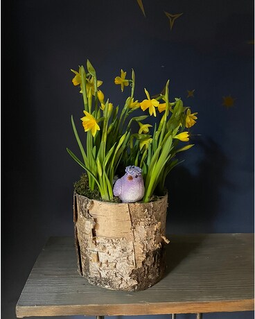 Daffodils with Dolly Flower Arrangement