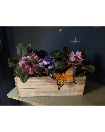 Tranquil Thoughts Flower Arrangement