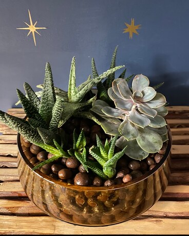 Sitting in the Morning Sun Flower Arrangement