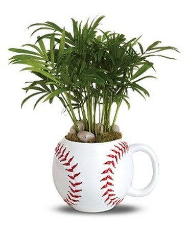 Teleflora's Base Hit Planter Flower Arrangement