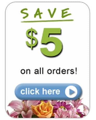 Save $5 Flower Arrangement