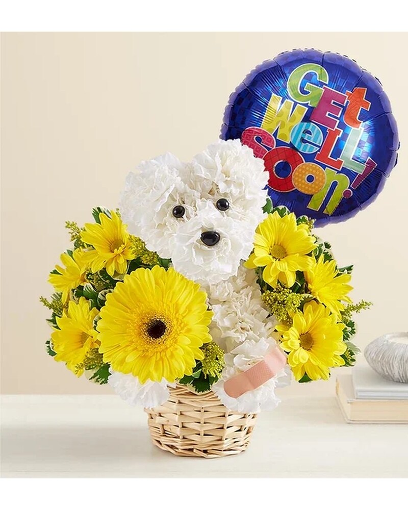 Sick As A Dog™ in El Paso TX - Executive Flowers