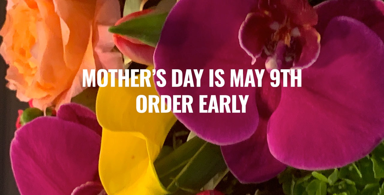 Houston Florist Flower Delivery by River Oaks Flower House, Inc.