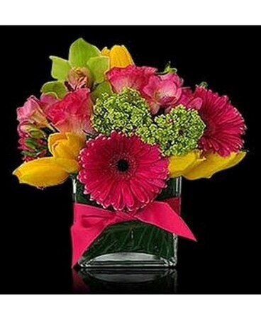 Spring bling