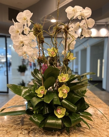 Garden or Orchids Flower Arrangement