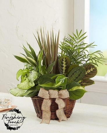 Classic Dish Garden- Sympathy Flower Arrangement