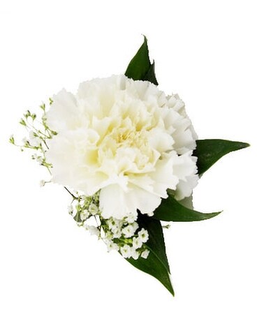 White Carnation Boutonniere Boutonniere
