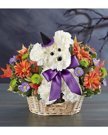 Witchy Pooch Flower Arrangement