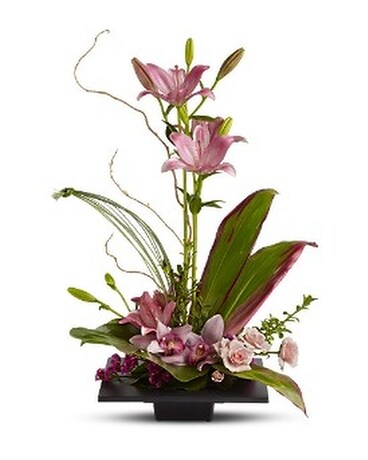 Imagination Blooms In Ft Lauderdale Fl Jim Threlkel Florist