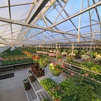 Greenhouse