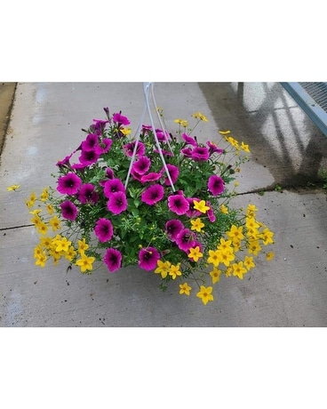 Assortment Hanging Basket Flower Arrangement