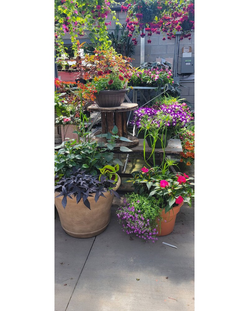 Outdoor Planter in Hartford WI - Black's Flower Shop