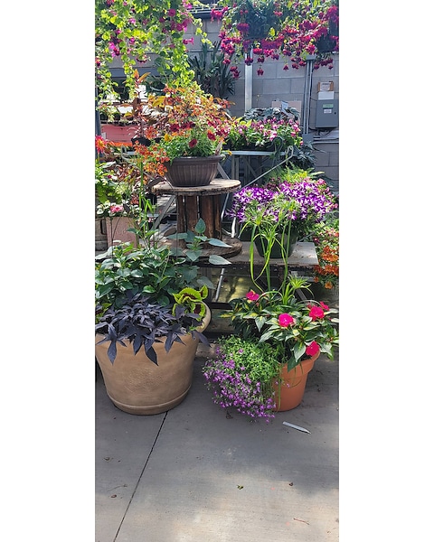 Outdoor Planter in Hartford WI - Black's Flower Shop