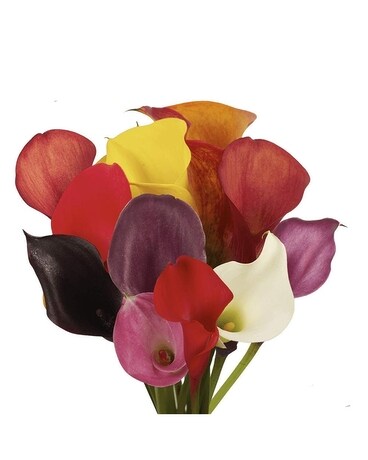 Calla Lily Special Flower Arrangement