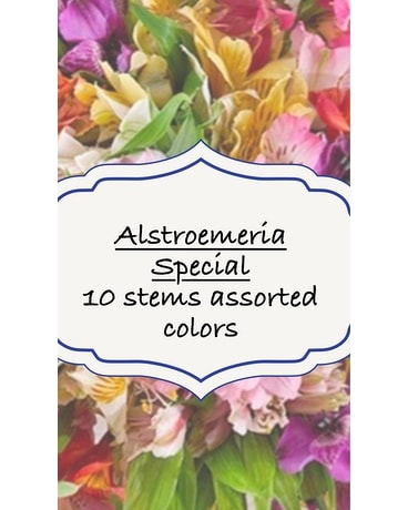 Alstroemeria Special Flower Arrangement