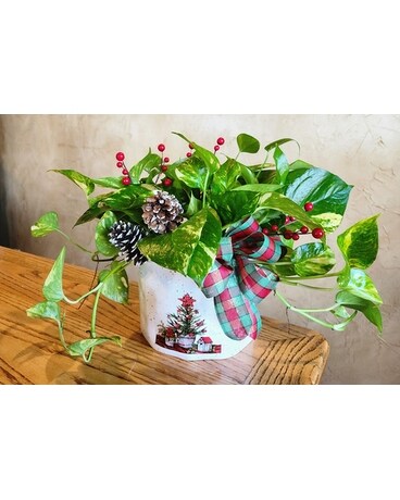 Believe in Magic Flower Arrangement