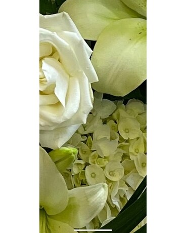 Designer's Choice Sympathy Arrangement Flower Arrangement