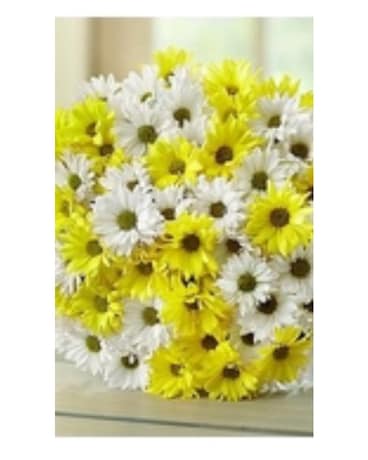 Yellow and White Daisy Special Flower Arrangement