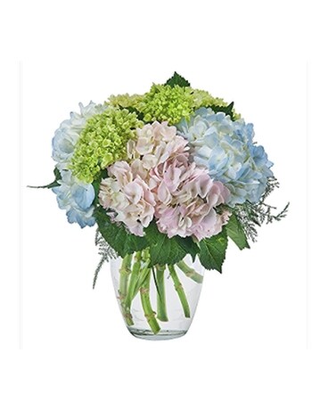 Holyoke Irish Spirit Flowers in South Hadley MA - Carey's Flowers, Inc.