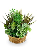 Deluxe (As Shown) size,  inches height and  inches wide.