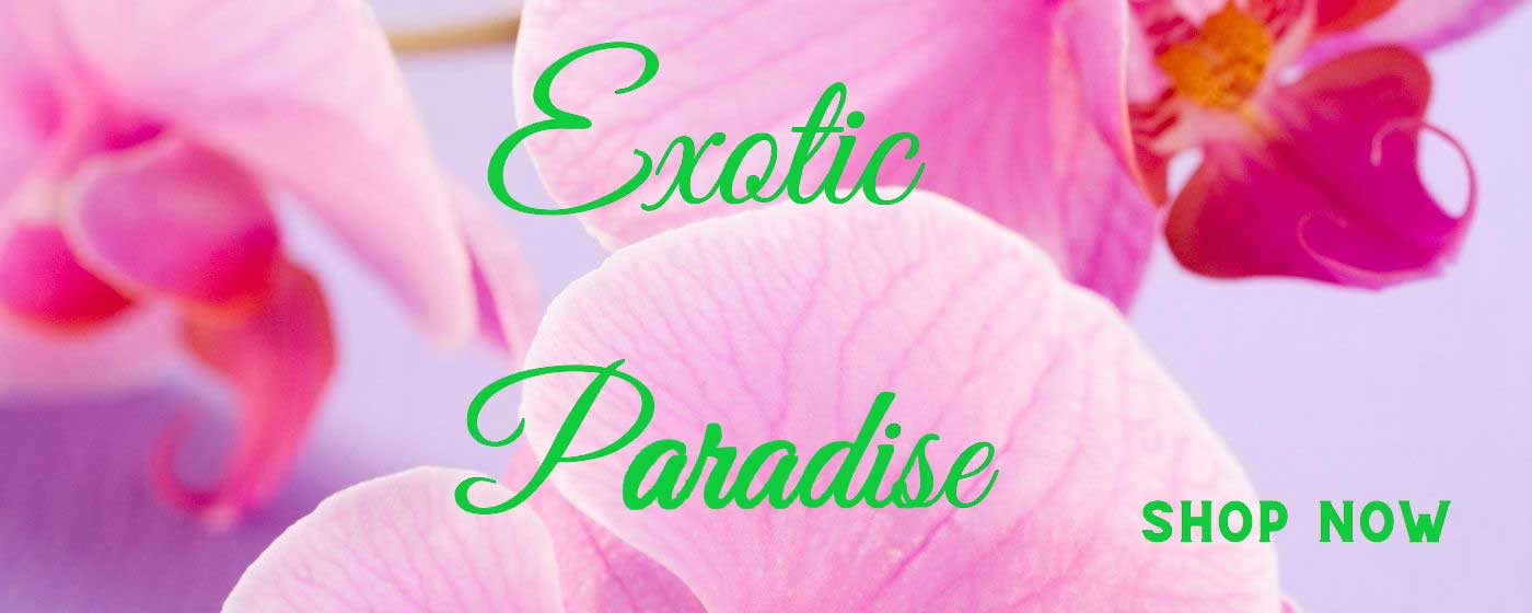 Exotic Paradise