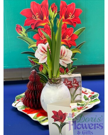 Amaryllis Extravaganza Gift Basket