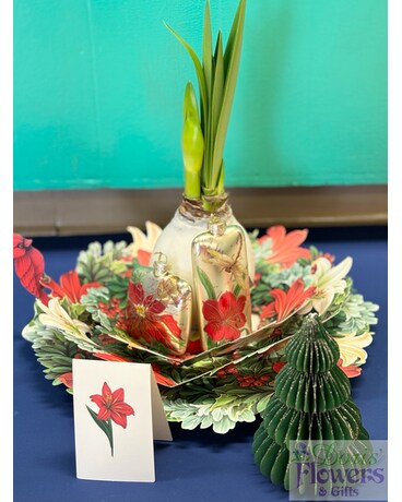 Amaryllis Wreath of Wonder Gift Basket