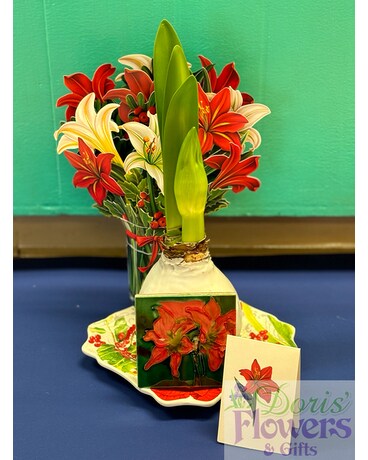 Amaryllis Miniature Magic Gift Basket