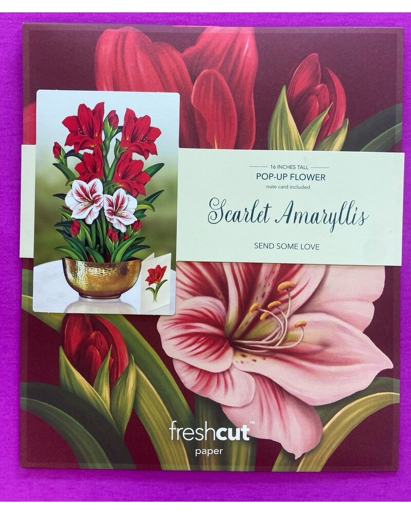 3D Pop-Up Amaryllis Schneekugel Karte – Mit Glitzer, Zum Aufstellen
