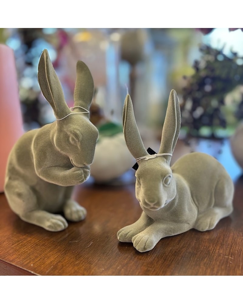 Gifts Delivery Columbia TN - Doris' Flowers & Gifts