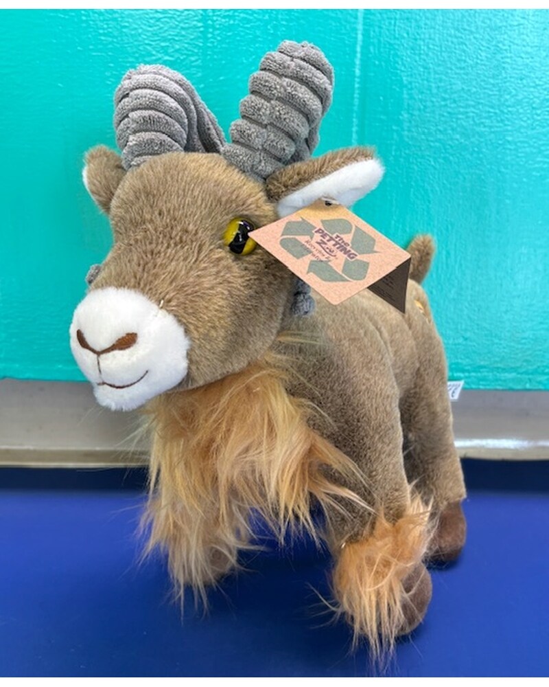 The Petting Zoo Delivery Columbia TN - Doris' Flowers & Gifts
