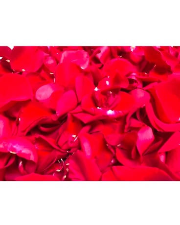 One color Rose Petals Custom product