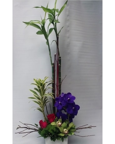 Tropical Bamboo Custom product