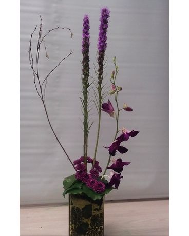 Friendship Dish Garden Plant