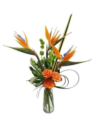 Free Spirits Fly Flower Arrangement