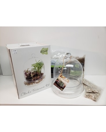 Cloche Terrarium Kit Gifts