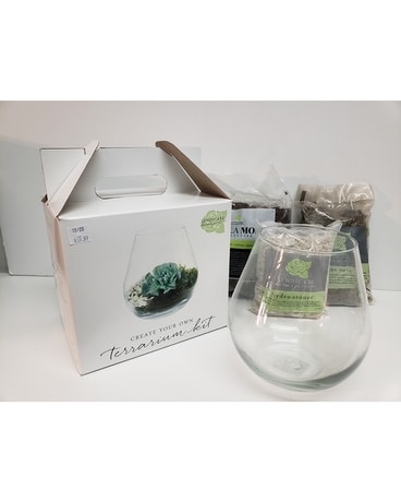 Terrarium Kit #1 Gifts