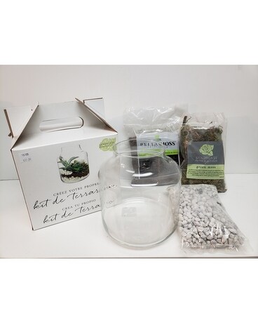Terrarium Kit #2 Gifts