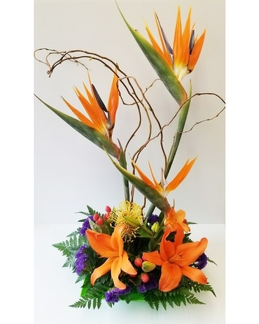 Schroeder's Own Tropical Paradise Flower Arrangement