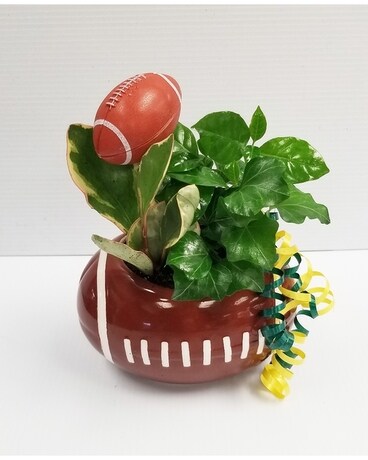 Football Time Dish Garden Flower Arrangement