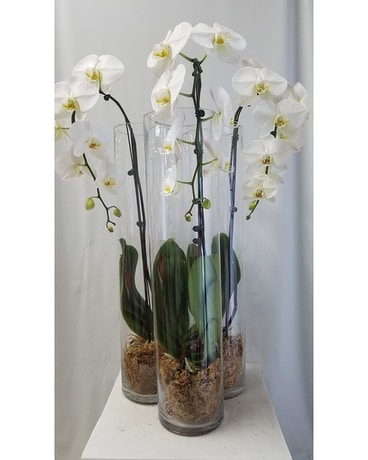 MLRB-023 Flower Arrangement