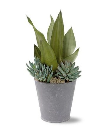 Succulent Garden Flower Arrangement